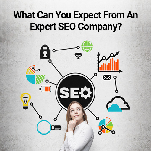What Can You Expect From An Expert SEO Company?