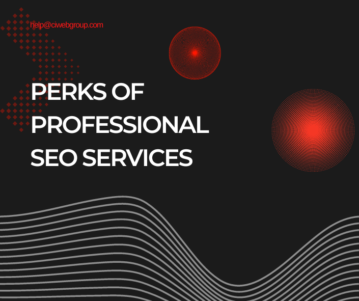 Perks of Professional SEO Services